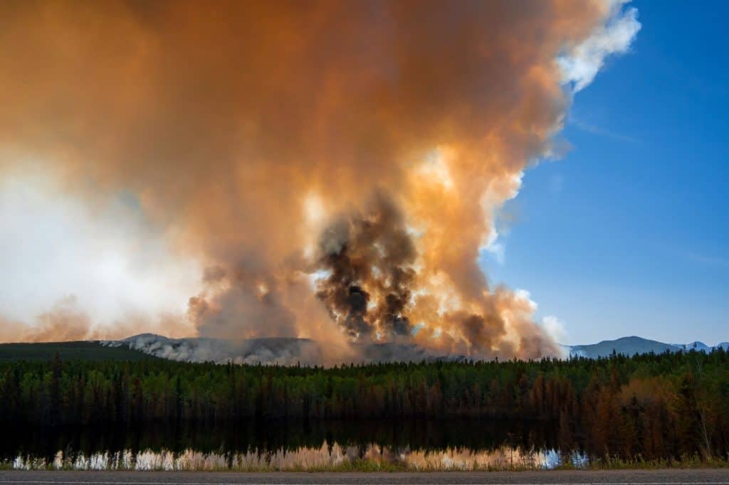 incêndio florestal