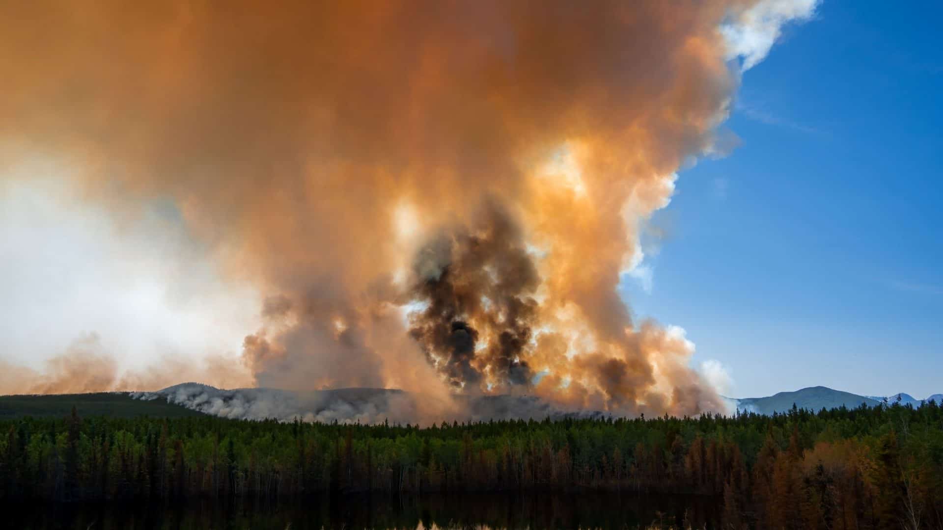 incêndio florestal