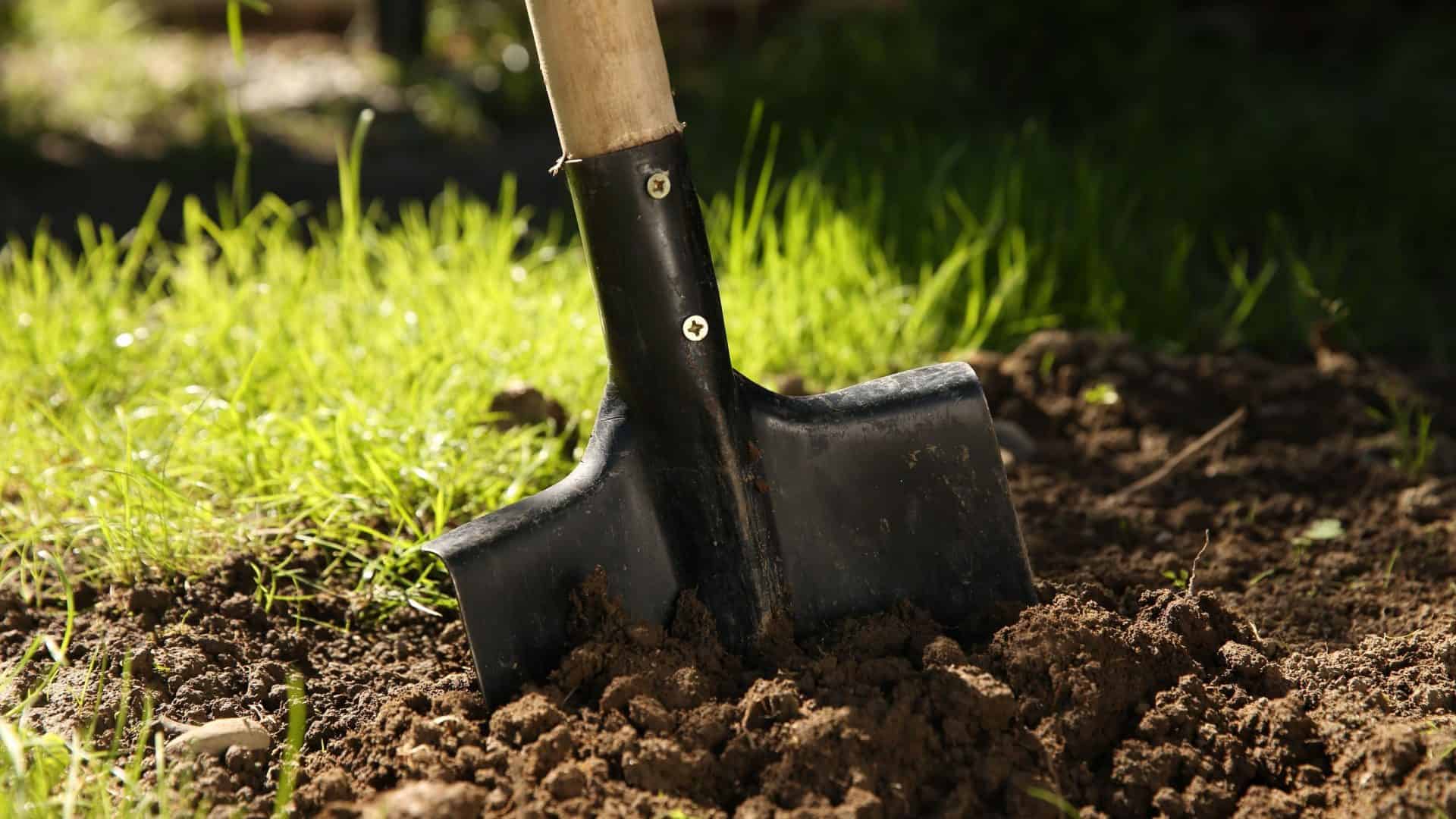 Imagem ilustrativa de uma pá sobre shovelware