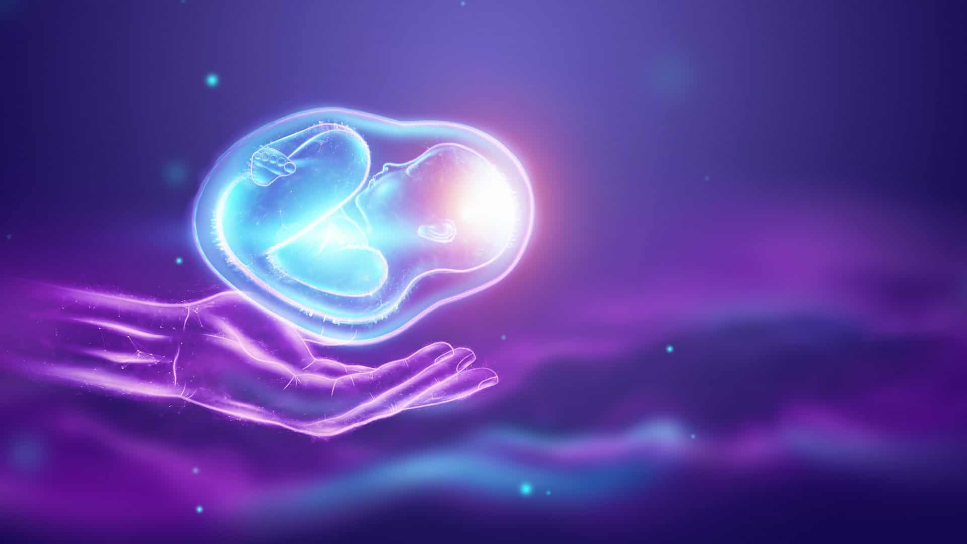 Inseminação artificial, por outro lado. Criança em posição fetal, embrião, holograma. Conceito de gravidez, exame médico, futuro da medicina. Ilustração 3D, renderização 3D
