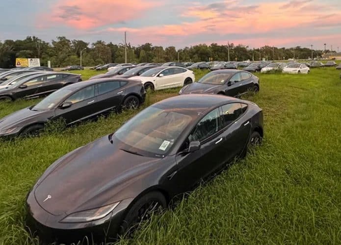 Teslas abandonados em matagal