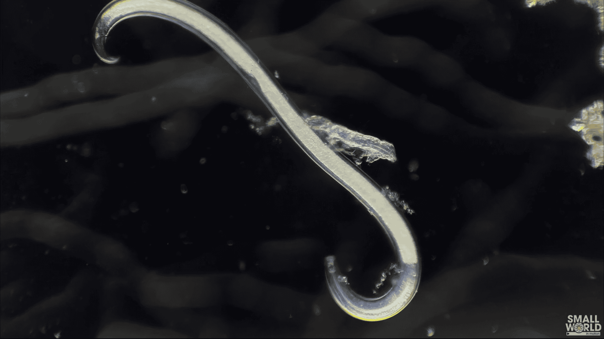Captura-de-tela-2024-09-23-213705-1920x1080.png