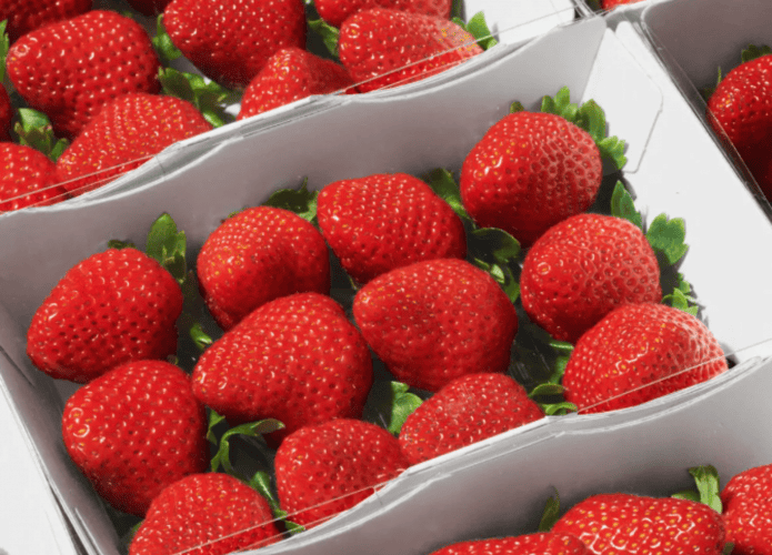 Captura-de-tela-2024-09-25-131003-695x500.png