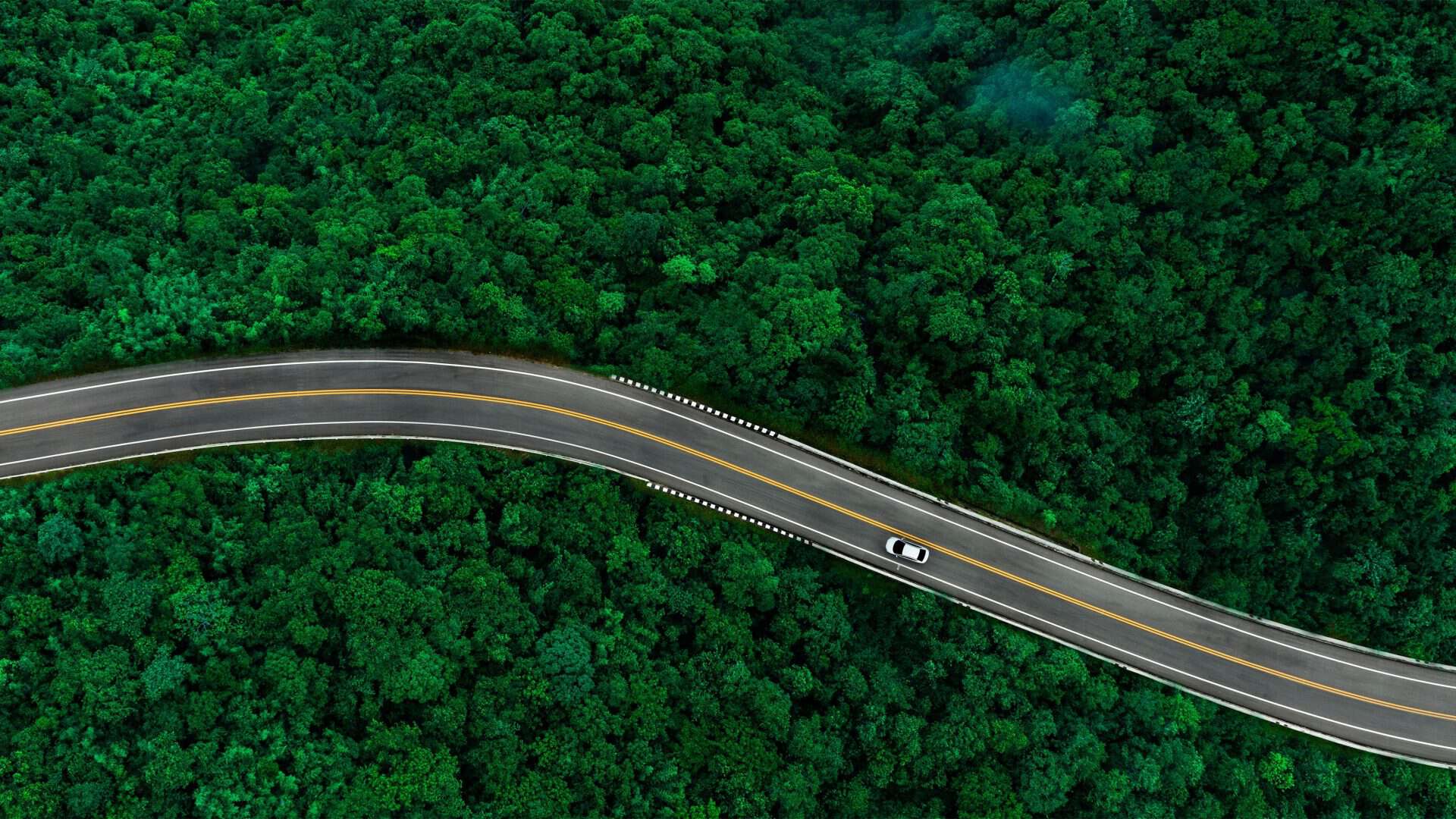 Visão aérea de carro elétrico andando em estrada que corta floresta