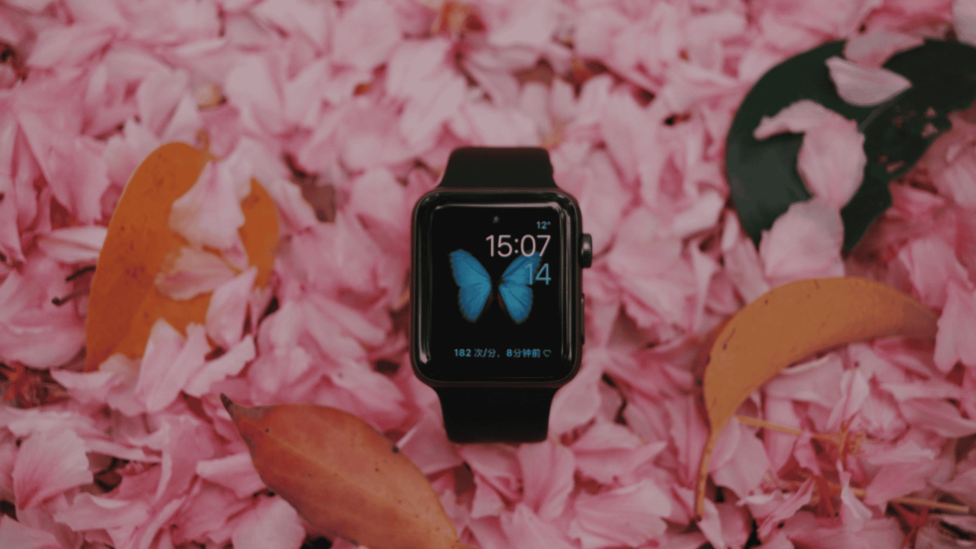 imagem mostra um apple watch em um chão coberto de flores