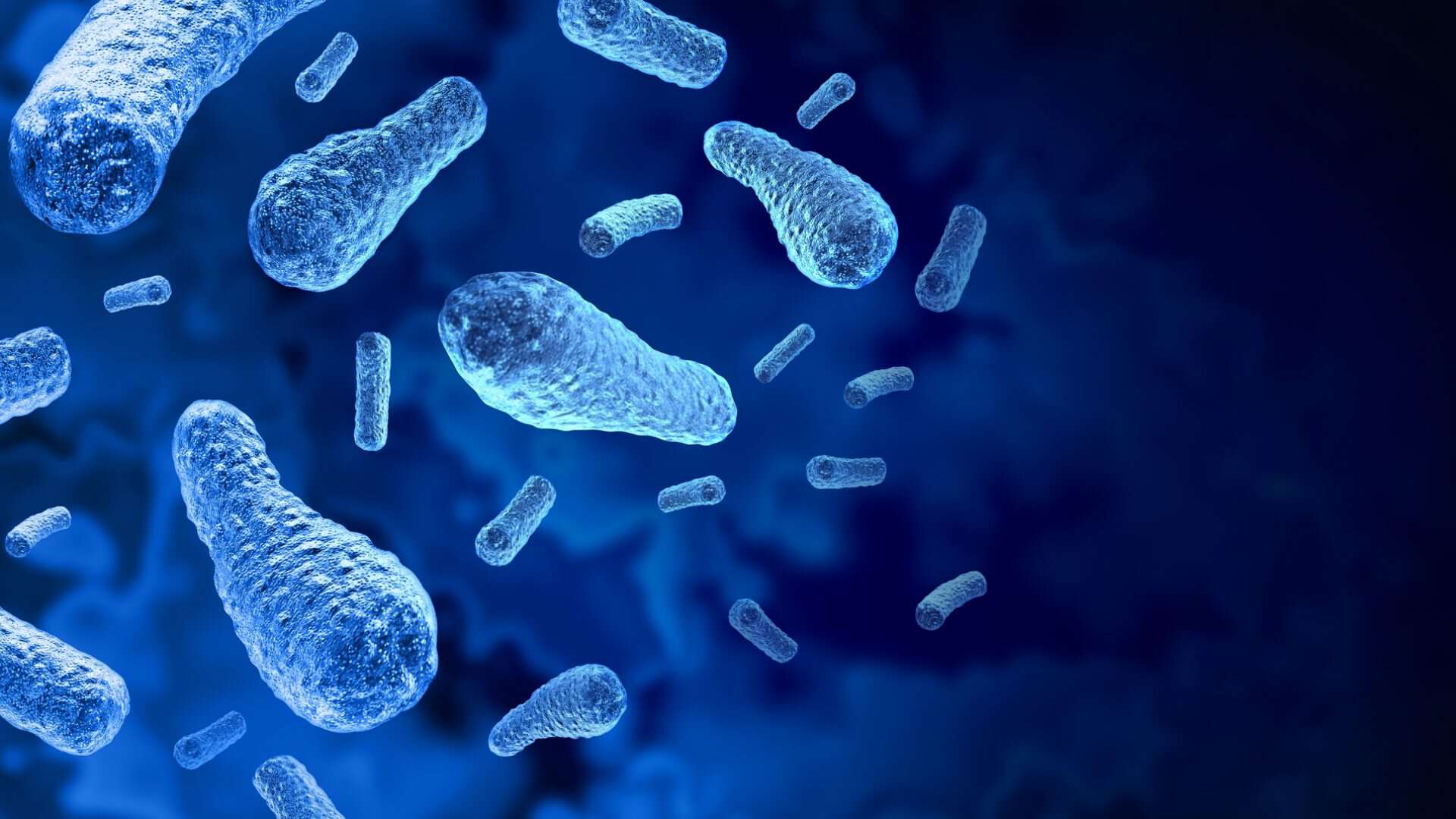 bacteria-1-1920x1080