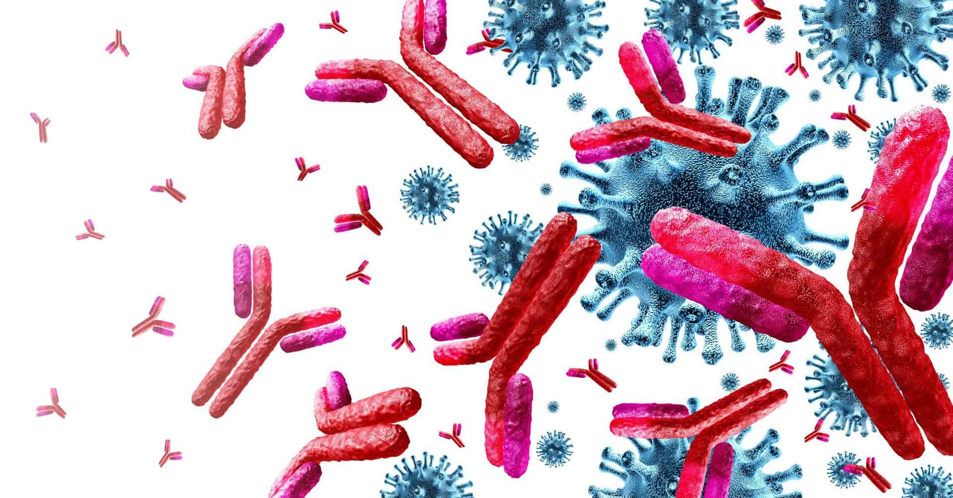 bacteria-1920x1003