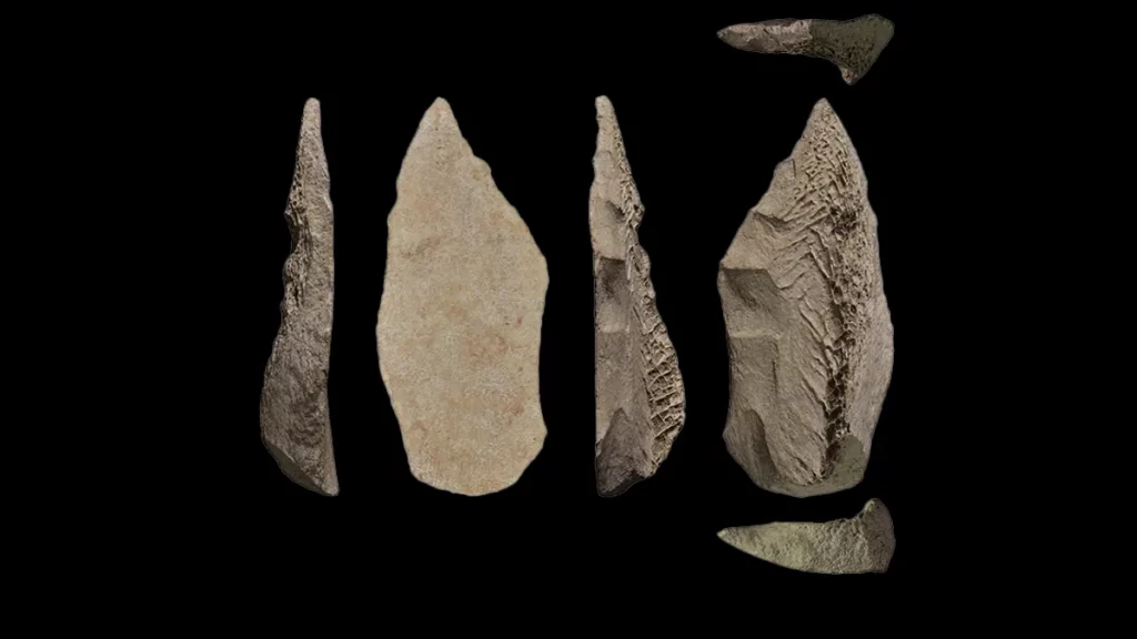 Primeira ponta de lança de osso de Neandertal esconde um segredo
