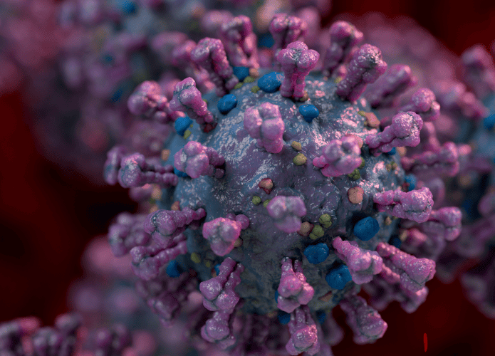 coronavirus-695x500.png