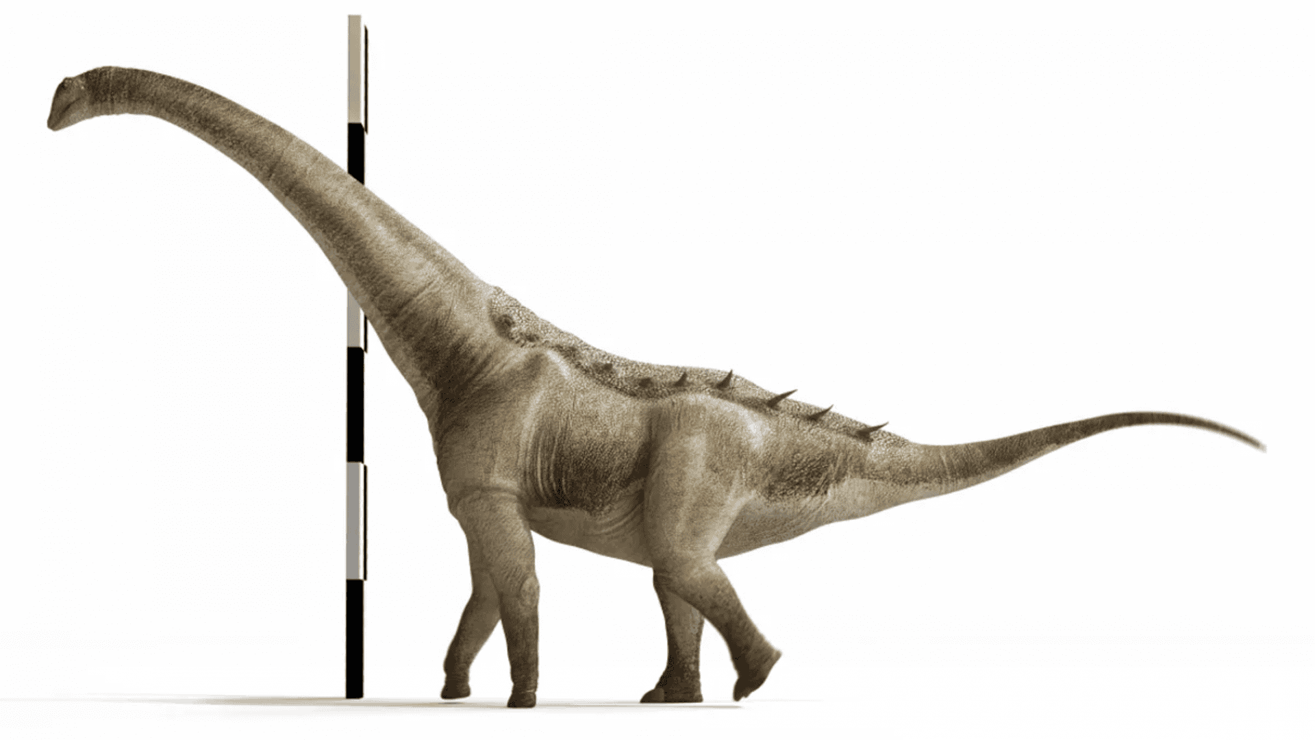 dinosssauro-1-1920x1080.png