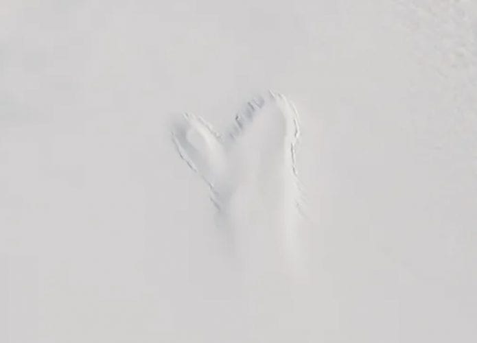 image-5-695x500