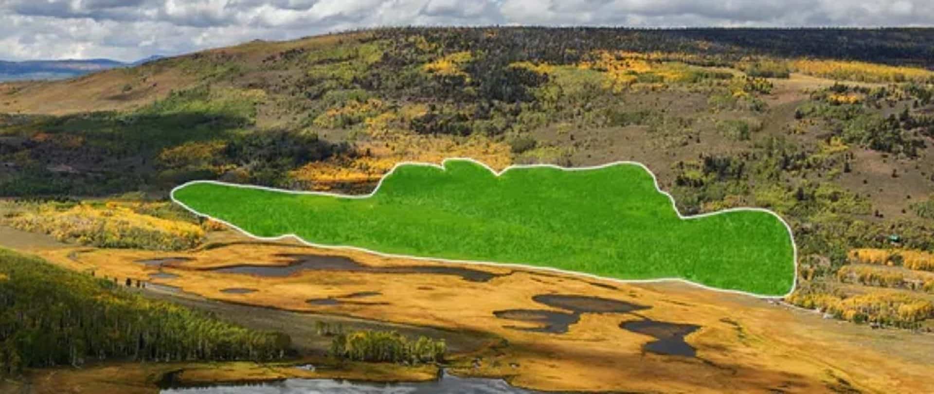 Área circulada para indicar o tamanho de Pando