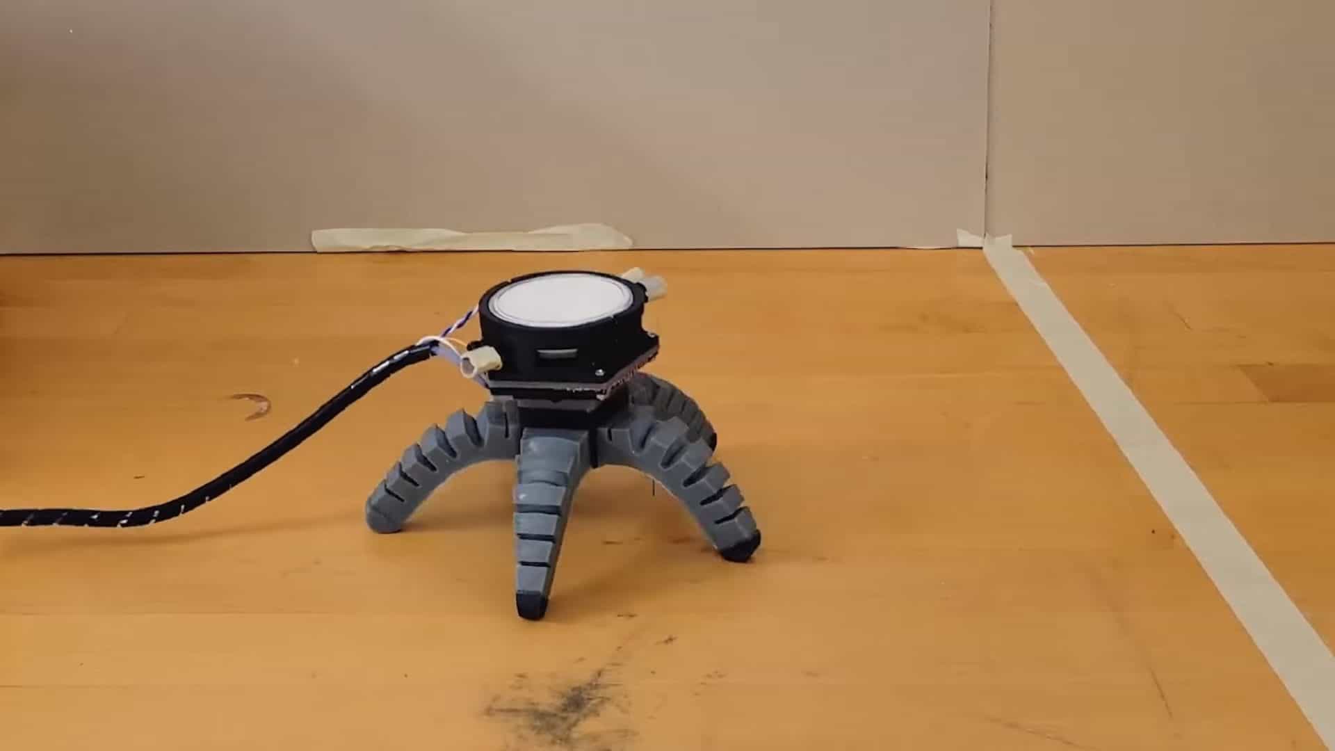 robô biohíbrido movido por fungos