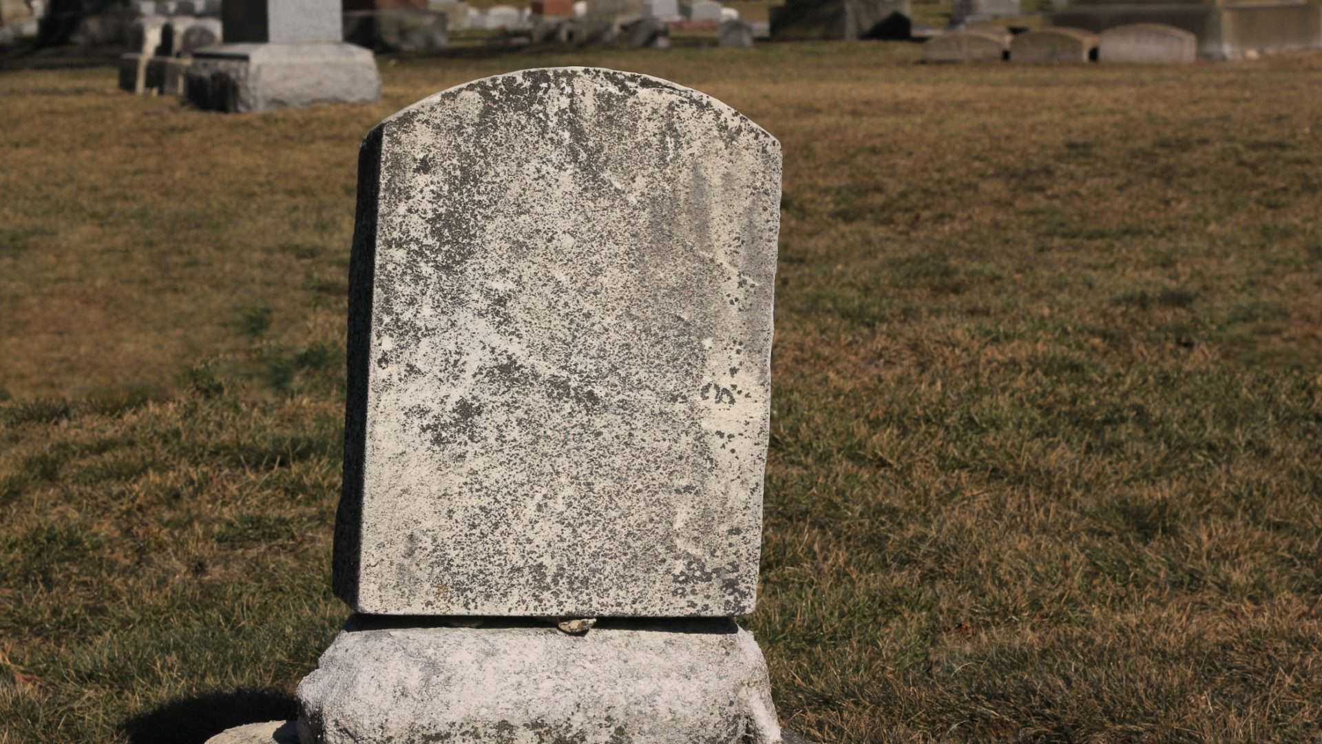 shutterstock_2265875169-1-1920x1080