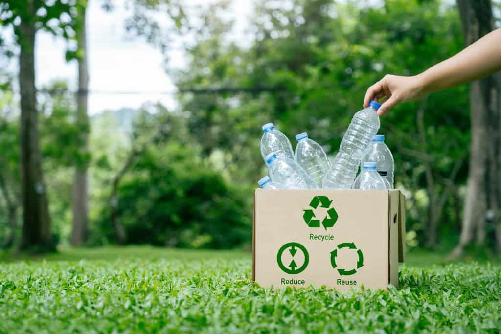 Imagem mostra um jardim em uma área externa. Em primeiro plano, à direita, há uma caixão de papelão com o símbolo da reciclagem e garrafas plásticas vazias no interior