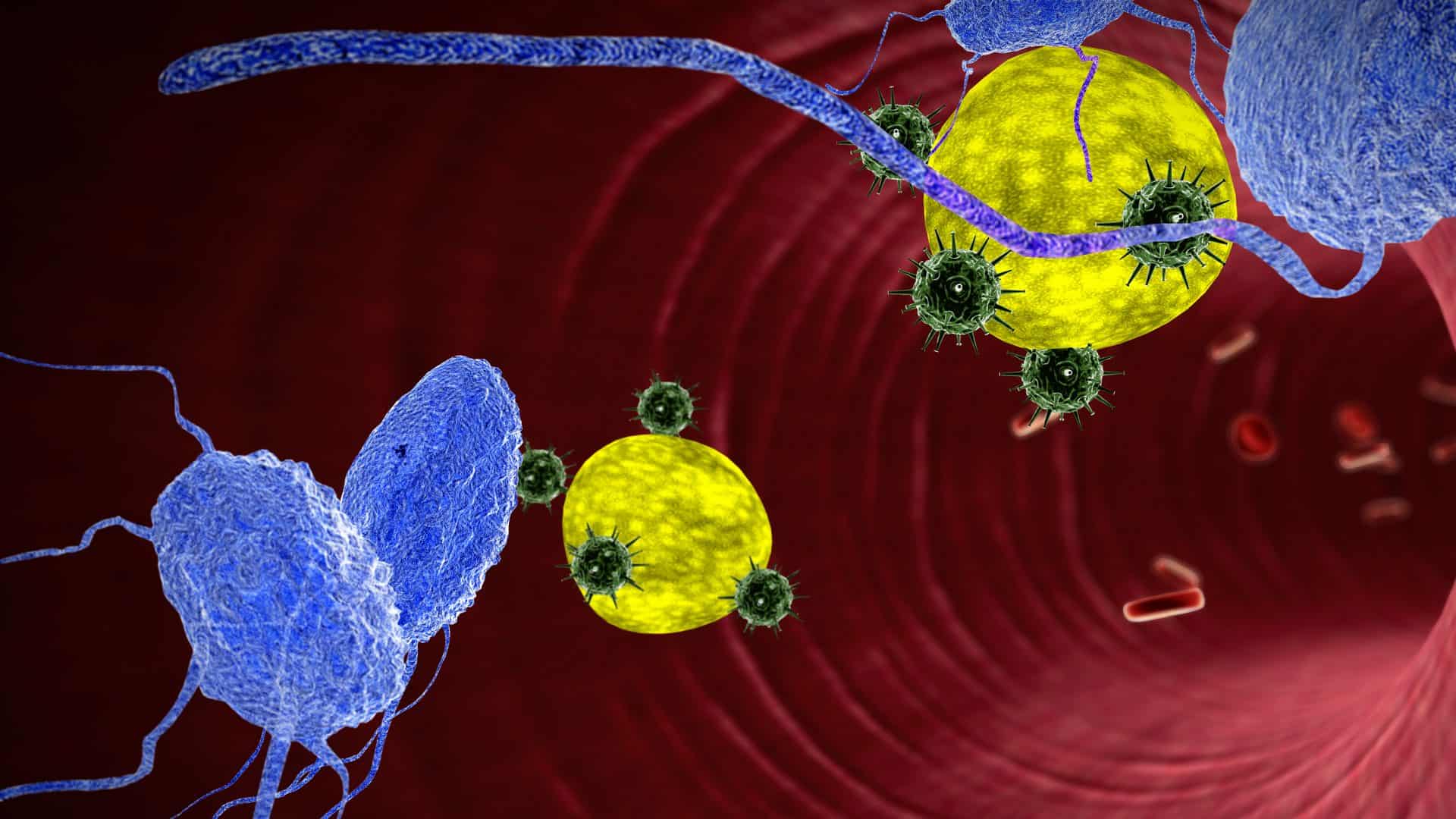 sistema-de-defesa-imunologico-1920x1080