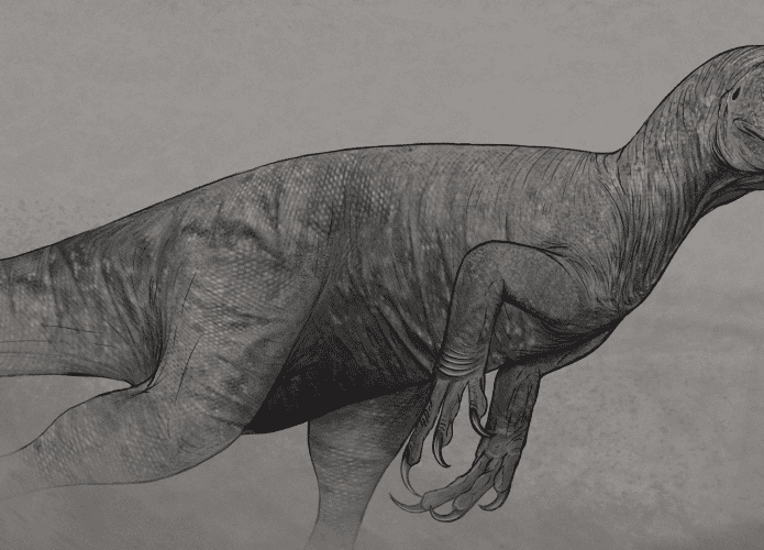 Paleoarte do estauricossauro