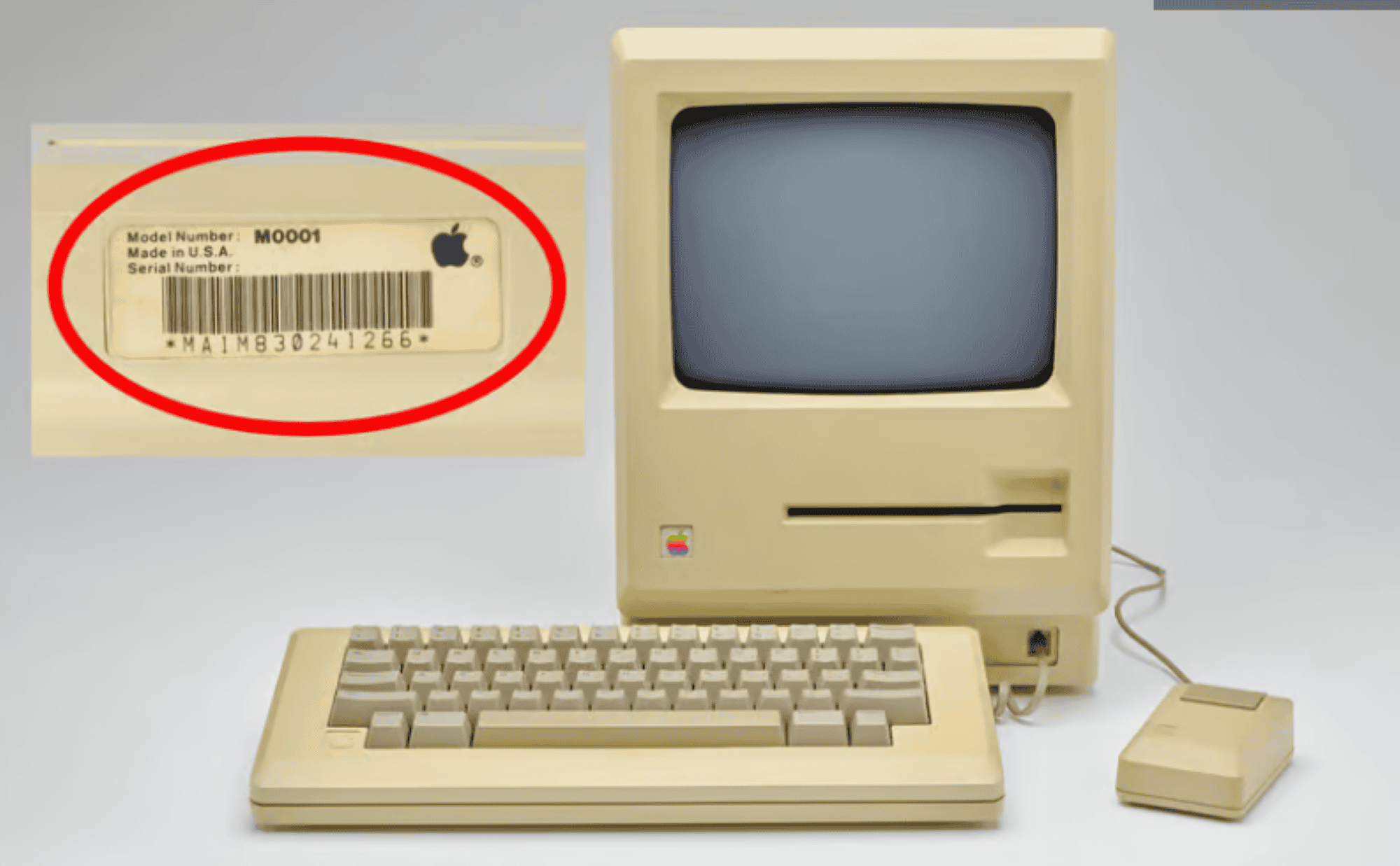 Apple-Macintosh-1.png