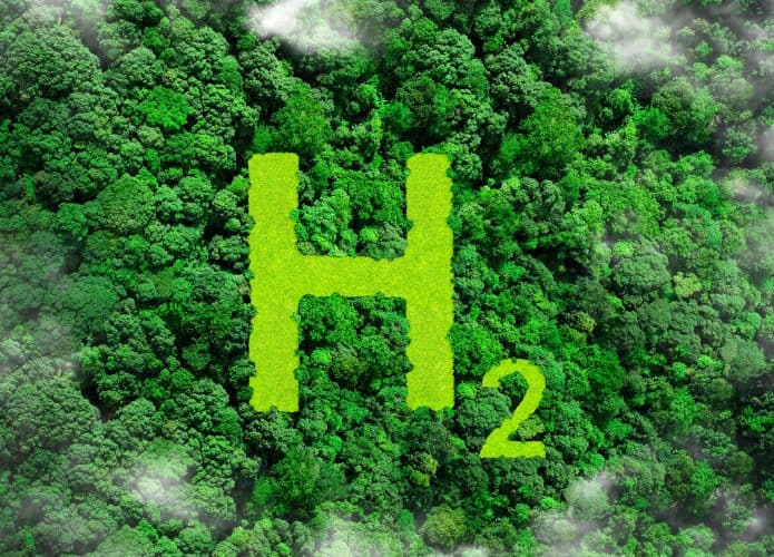Ilustração de visão aérea de sigla de hidrogênio na cor verde em floresta