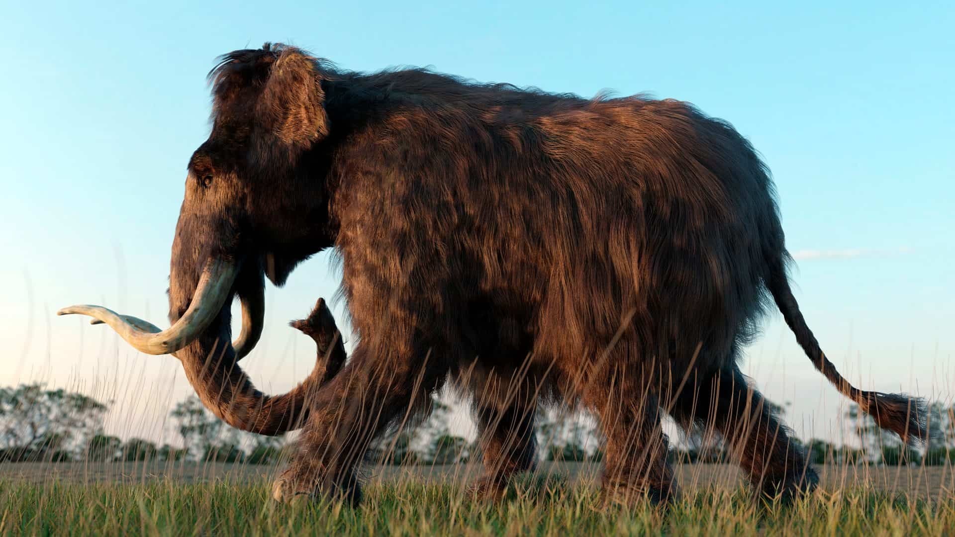 Ilustração 3D de mamute andando em paisagem com vegetação rasteira