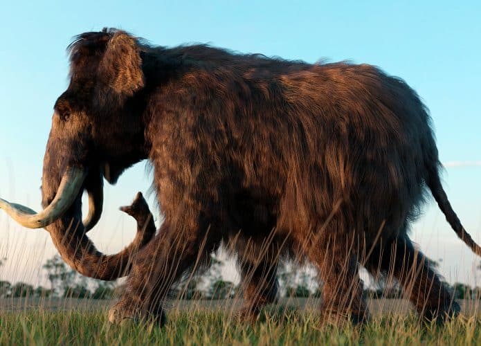 Ilustração 3D de mamute andando em paisagem com vegetação rasteira