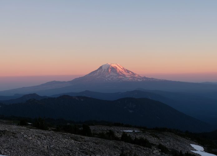 Monte-Adams-1-695x500