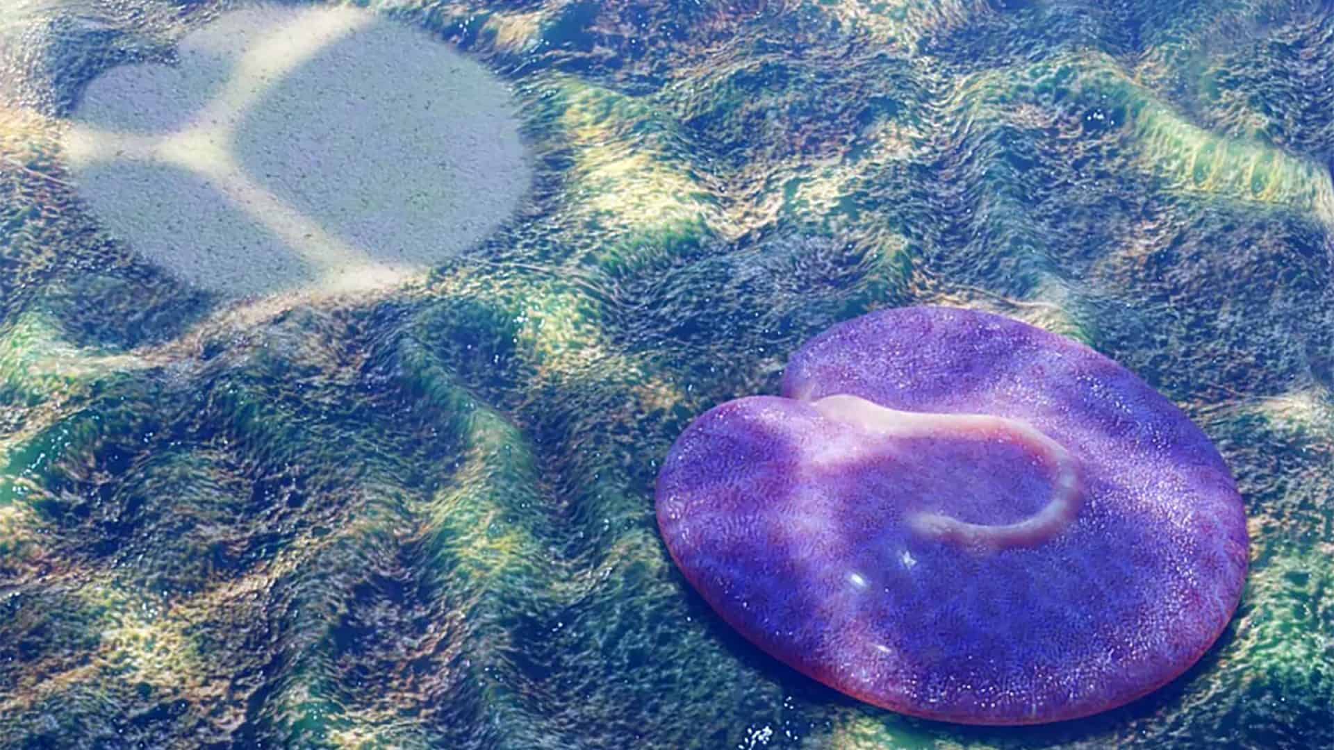 Quaestio-simpsonorum-1920x1080