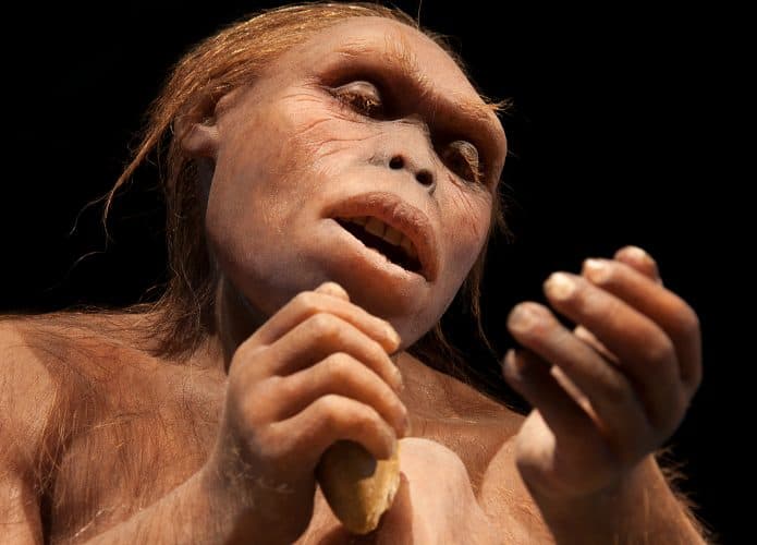 australopitecus-695x500