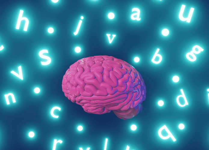 cerebro-695x500.png