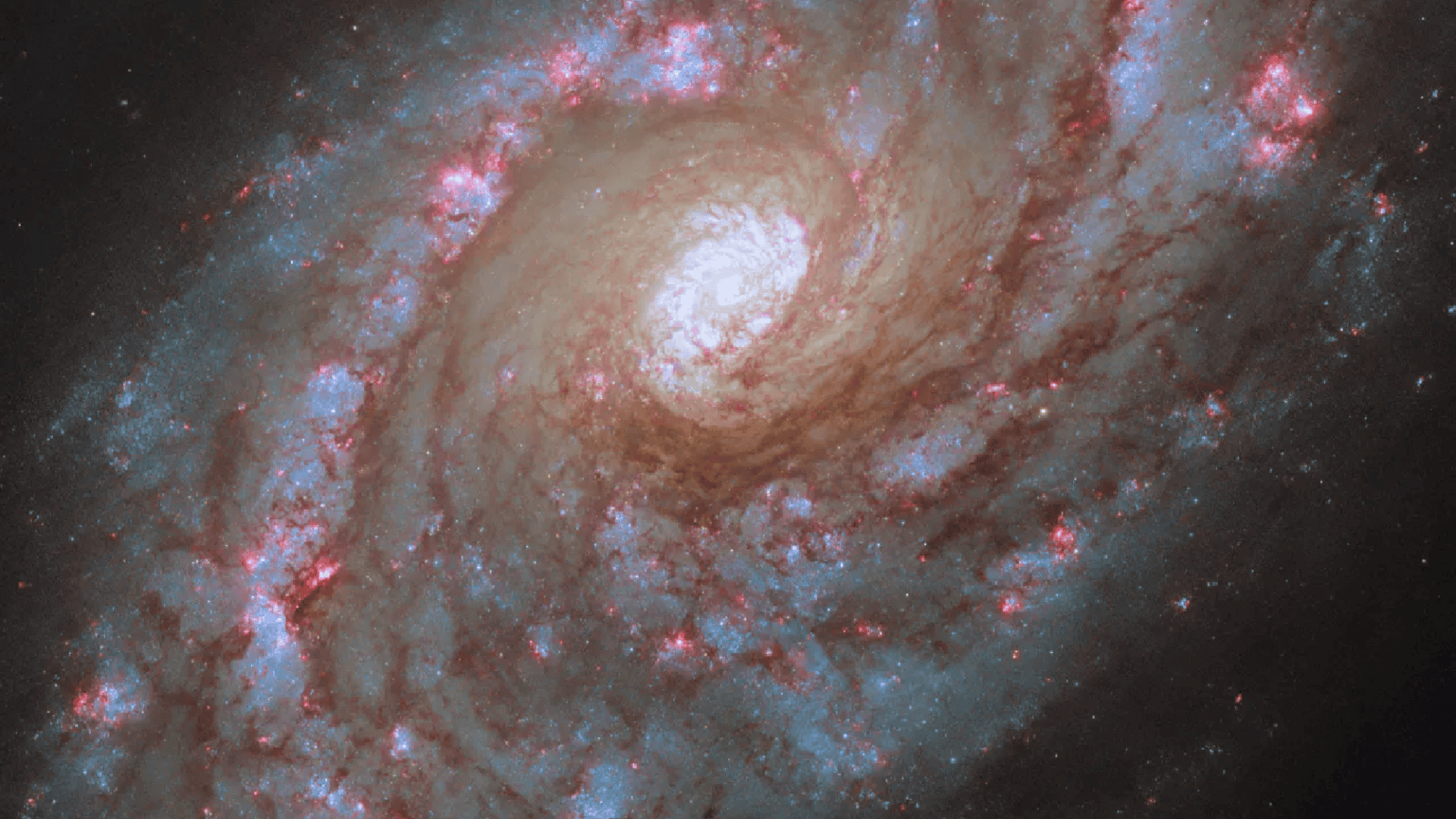 galaxia-esperial-ngc-5248-1920x1080.png