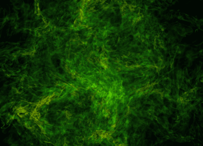 nasa-nuvem-695x500.png