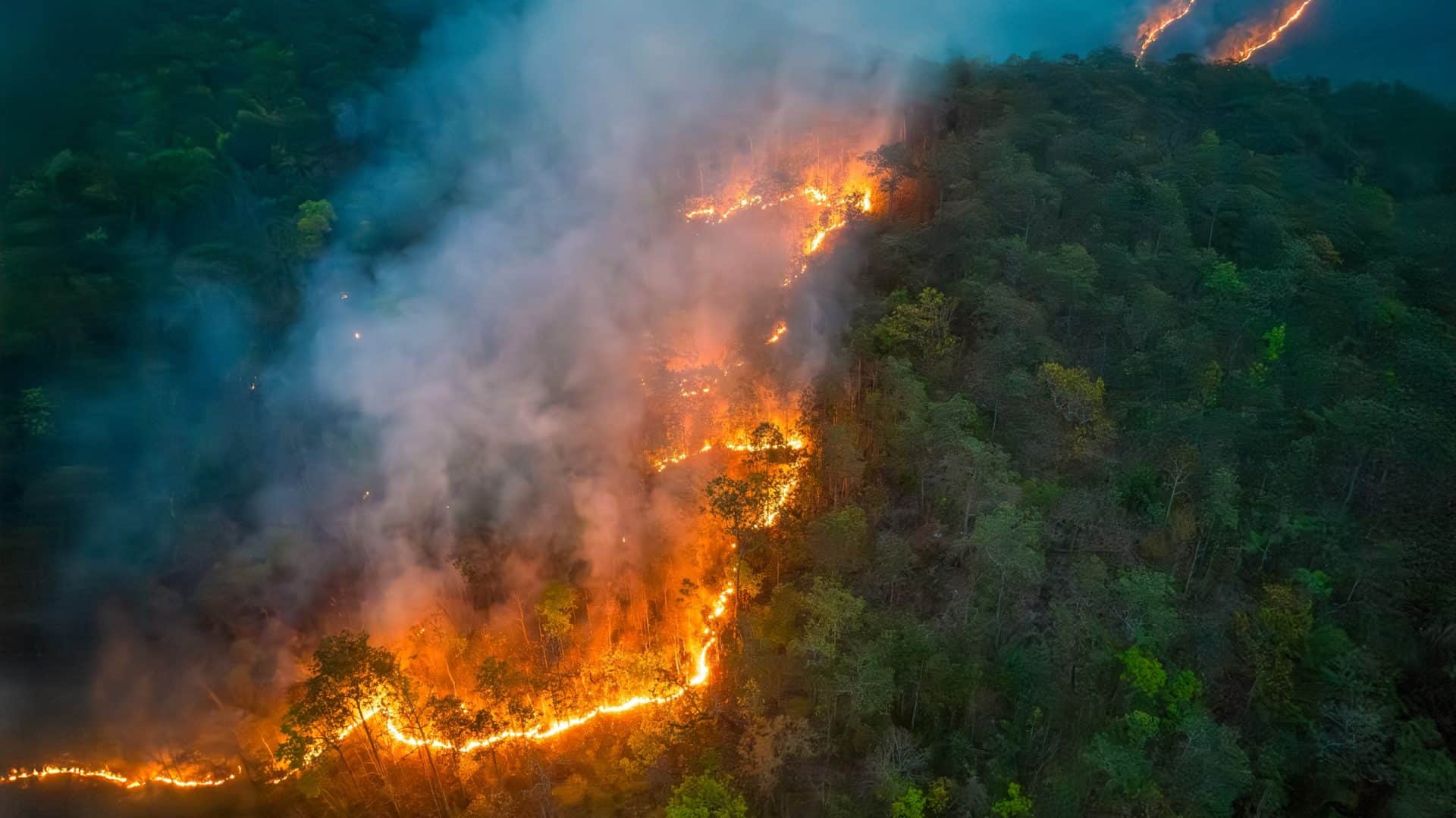 Amazônia em chamas