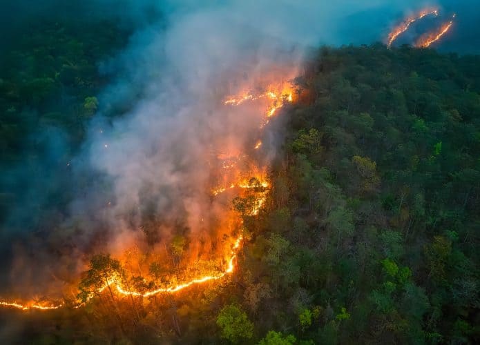 Amazônia em chamas