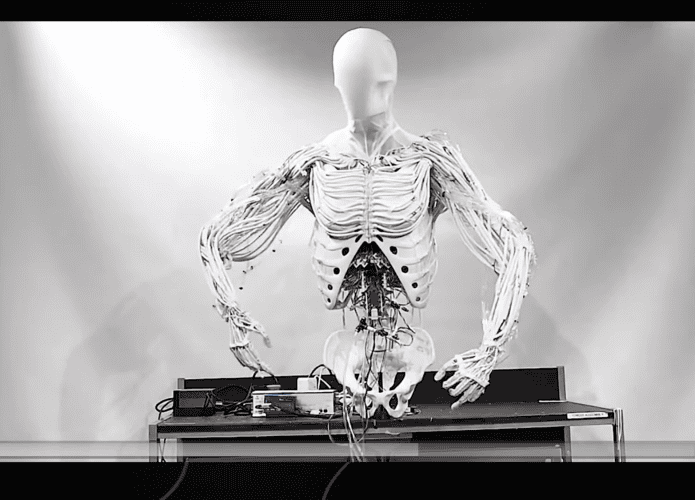 Robô humanoide da Clone Robotics
