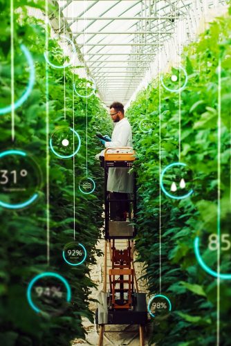 Engenheiro bioquímico profissional examina culturas em uma fazenda vertical moderna. Homem com tablet está cultivando alimentos orgânicos ou plantas em uma estufa de alta tecnologia. Edição de infográficos VFX mostrando dados.
