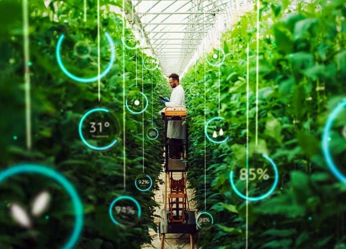 Engenheiro bioquímico profissional examina culturas em uma fazenda vertical moderna. Homem com tablet está cultivando alimentos orgânicos ou plantas em uma estufa de alta tecnologia. Edição de infográficos VFX mostrando dados.
