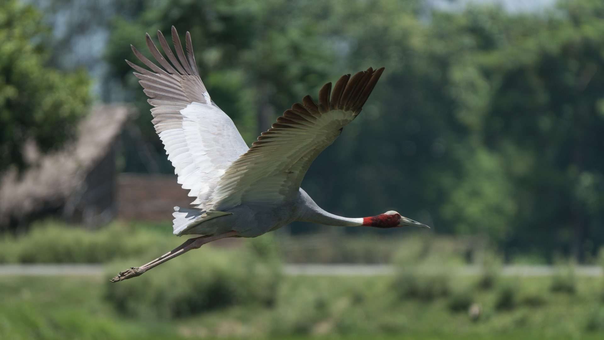 shutterstock_2522281261-1-1920x1080