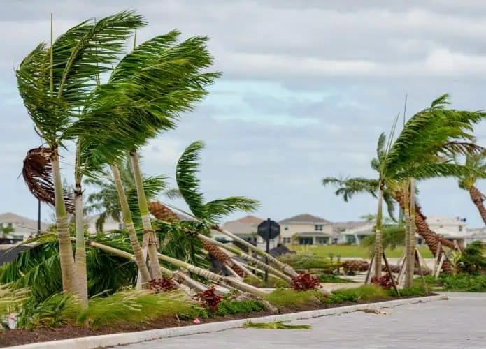 Árvores derrubadas por tornados causados pelo furacão Milton em Palm Beach Gardens, na Flórida