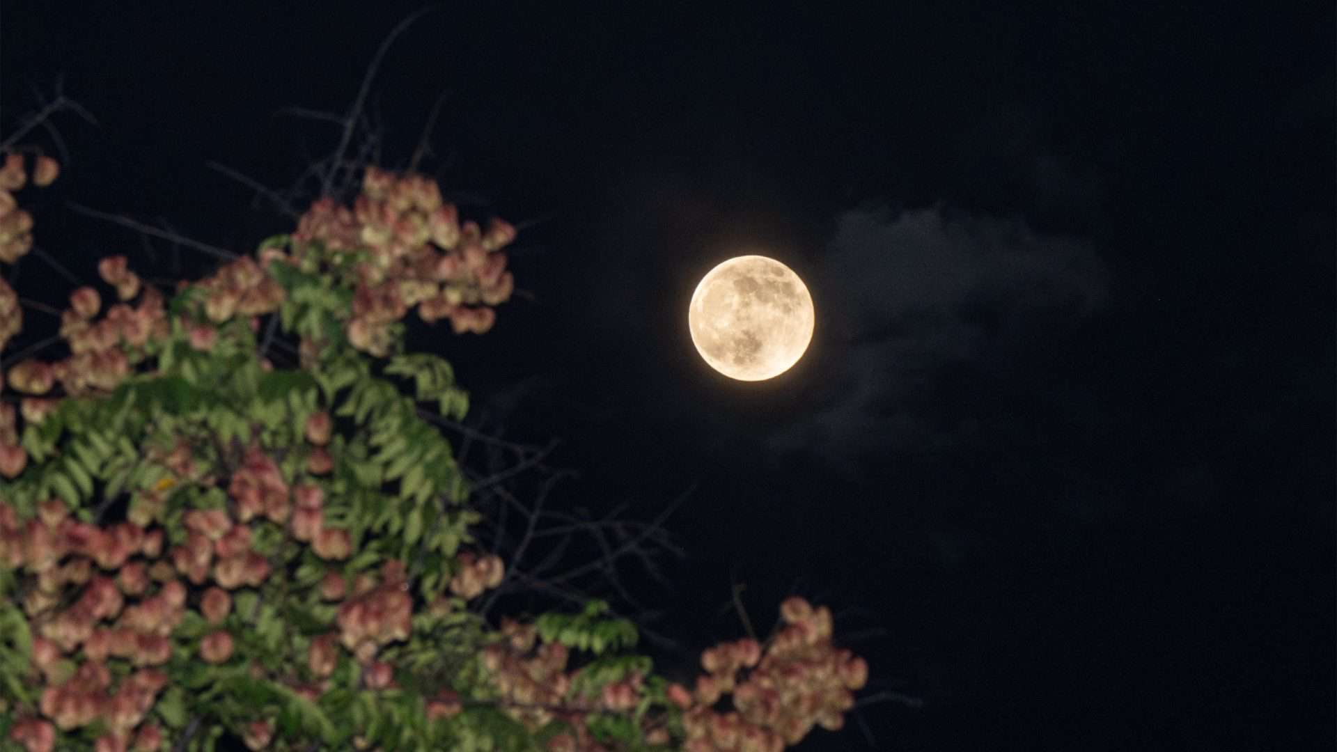 superlua-1-1920x1080
