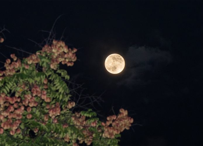 superlua-1-695x500