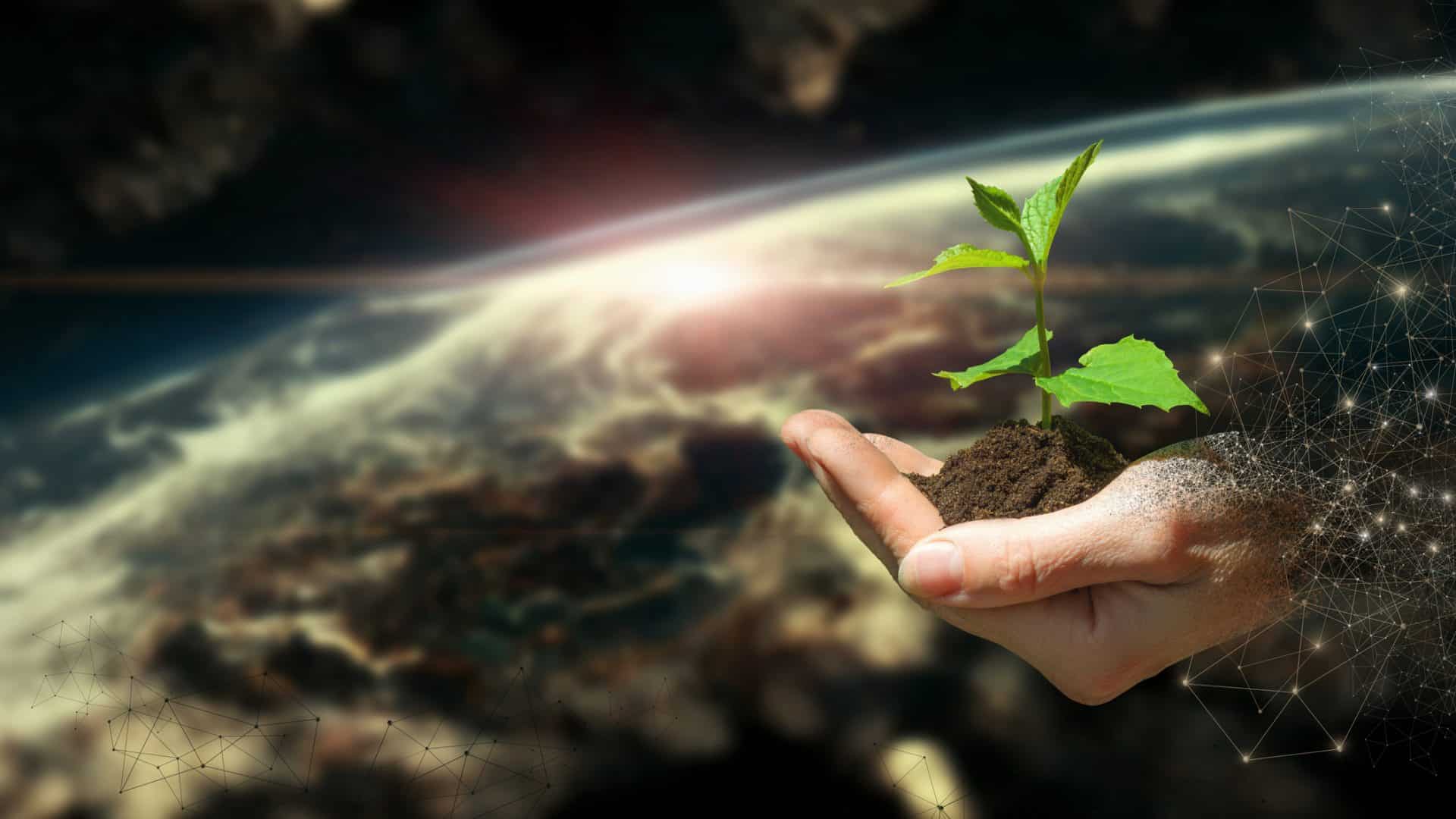 Contraste entre atmosfera da Terra e pessoa segurando uma muda de planta