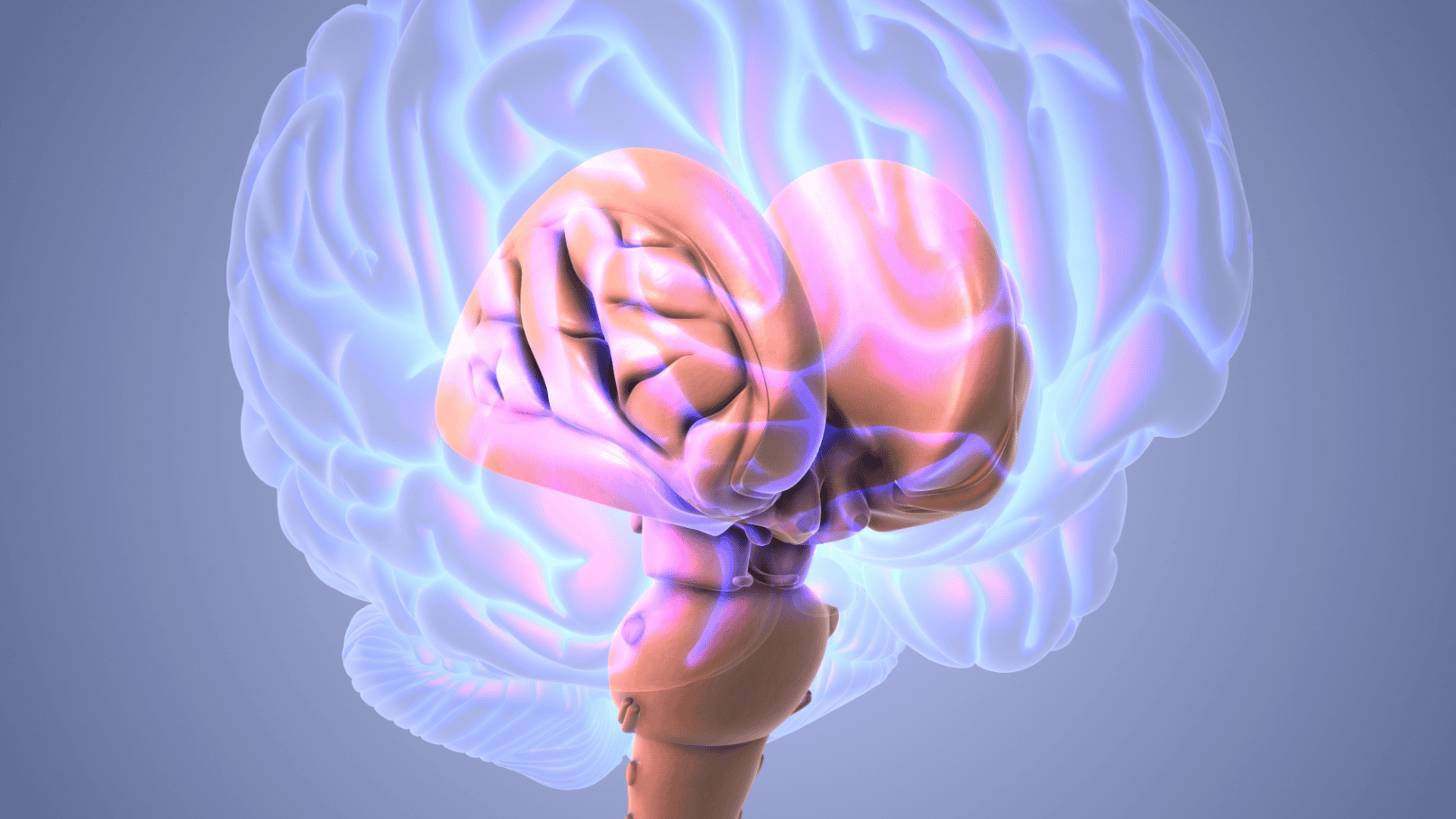 tronco-cerebral-1920x1080.png