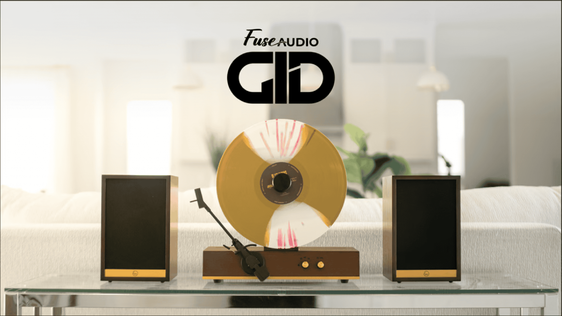 vitrola vertical para disco de vinil