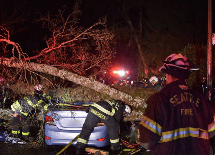 Árvore caída em cima de um carro