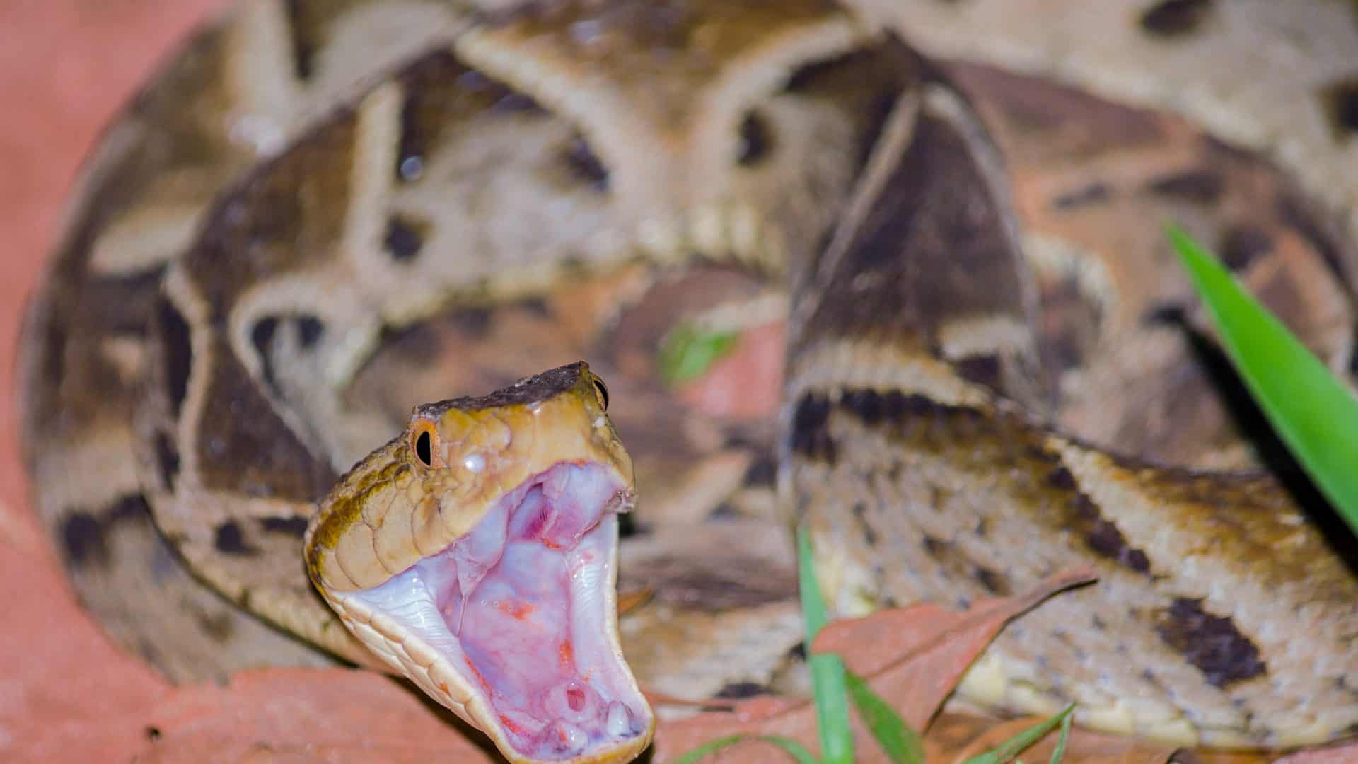 IMG_3217-1920x1080