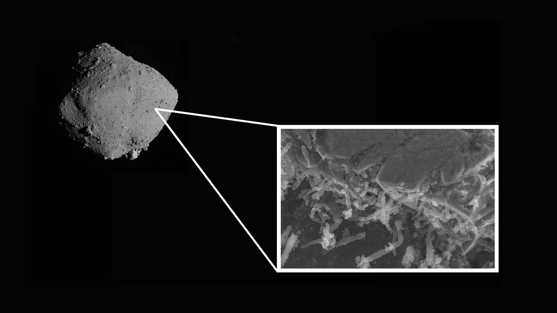 asteroide-ryugu-bacterias-1920x1080