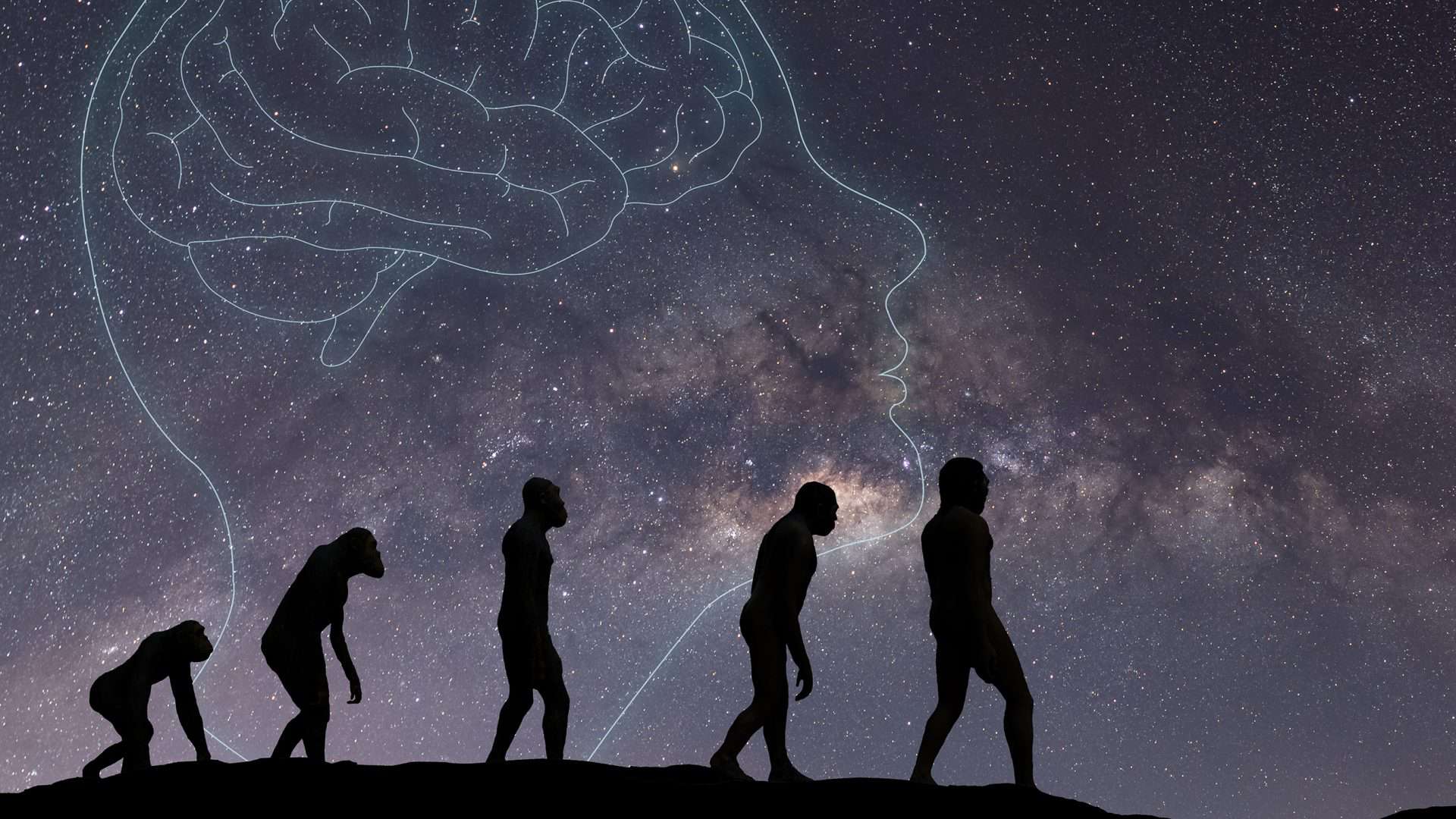 cerebro-evolucao-humana-1920x1080