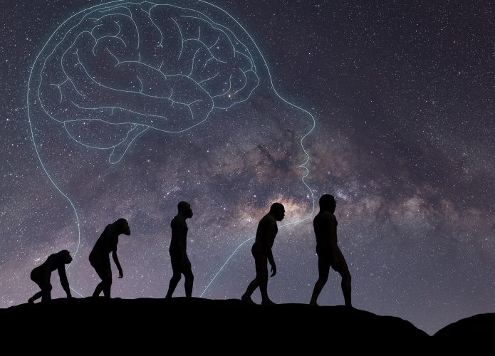 cerebro-evolucao-humana-695x500