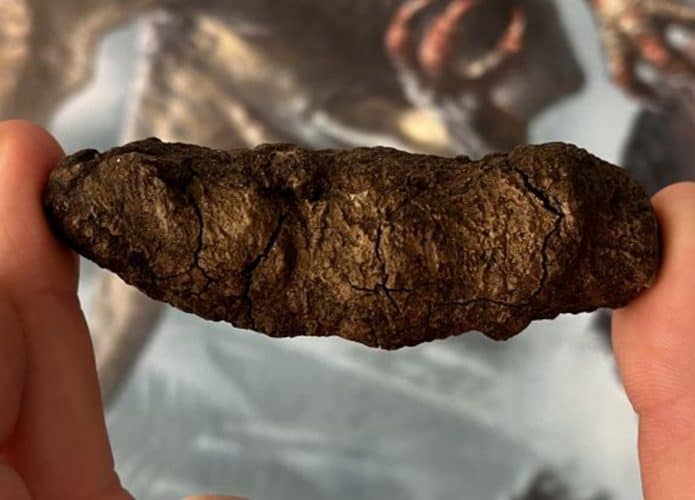 Coprólito do terópode Smok
