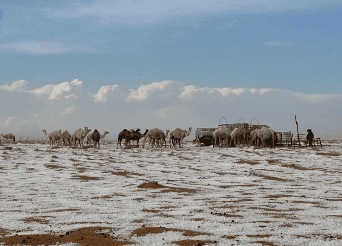 deserto-branco-1-695x500.png
